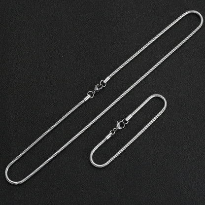 Snake chain set, necklace and bracelet, silver tone